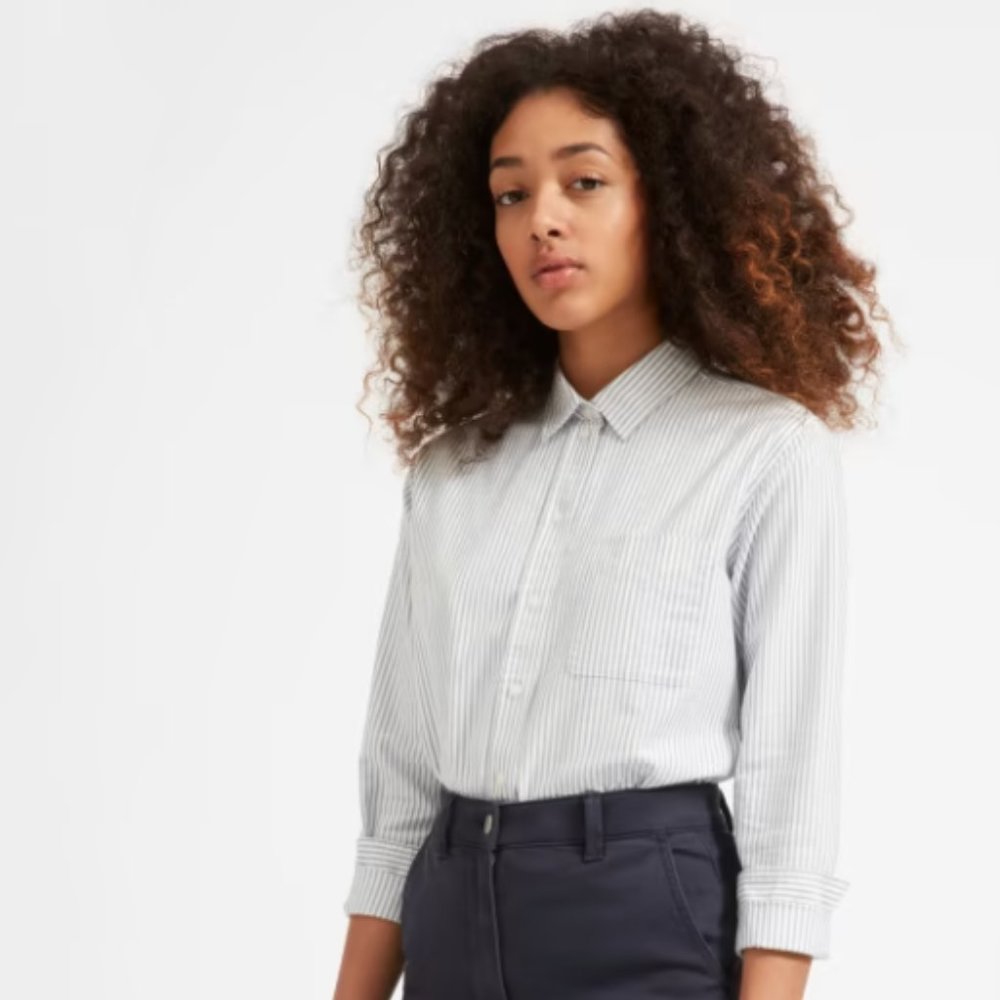 Everlane Striped Japanese Oxford Shirt, Size 4